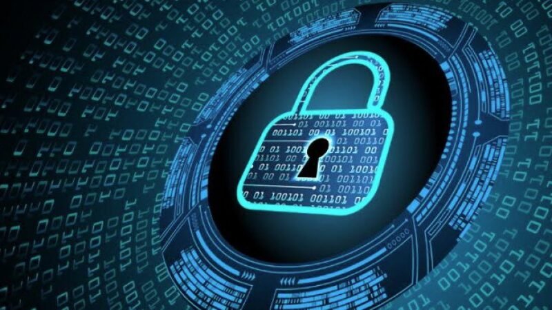 n_44842_95276ef6535840ec6e432a7fc28688cb